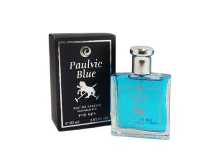 Imagen de PAULVIC PERFUME BLUE X 50ML